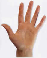 Palmistry Palm Reading - The Water Hand